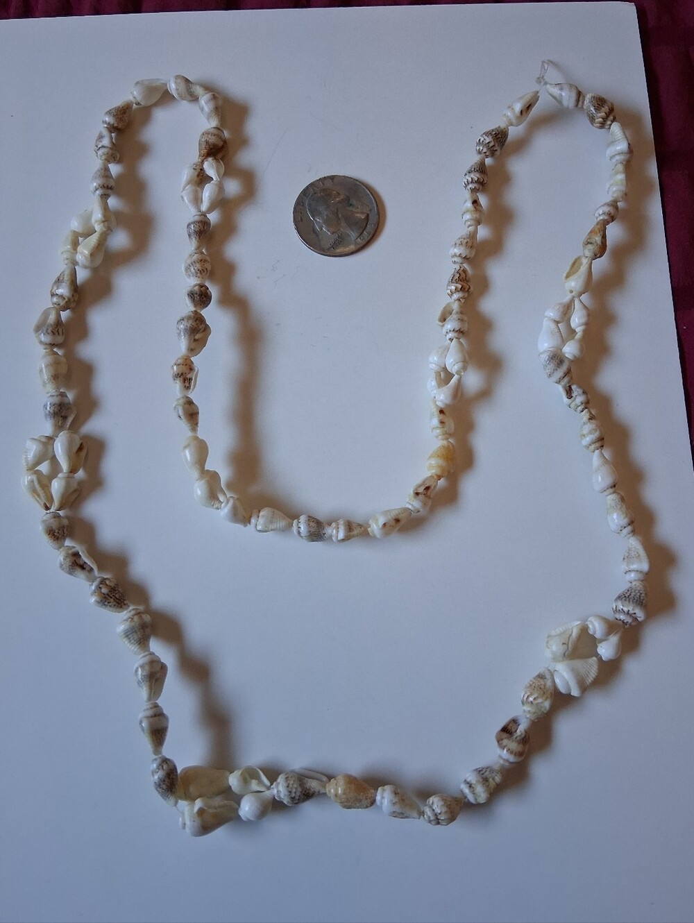​Vintage Hawaiian Style Momi Shell Lei | Approx. 30" Opera Length Necklace